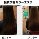 白髪染めによるダメージでパサついた髪と、美容室でケアされたツヤ髪の比較イメージ